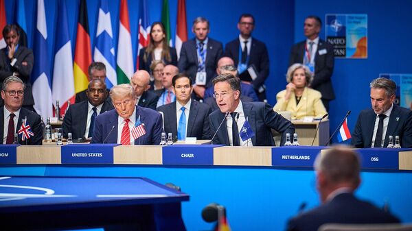 Европа, прикрываясь миролюбием Трампа, затаилась. Неоднозначные итоги саммита НАТО в Гааге