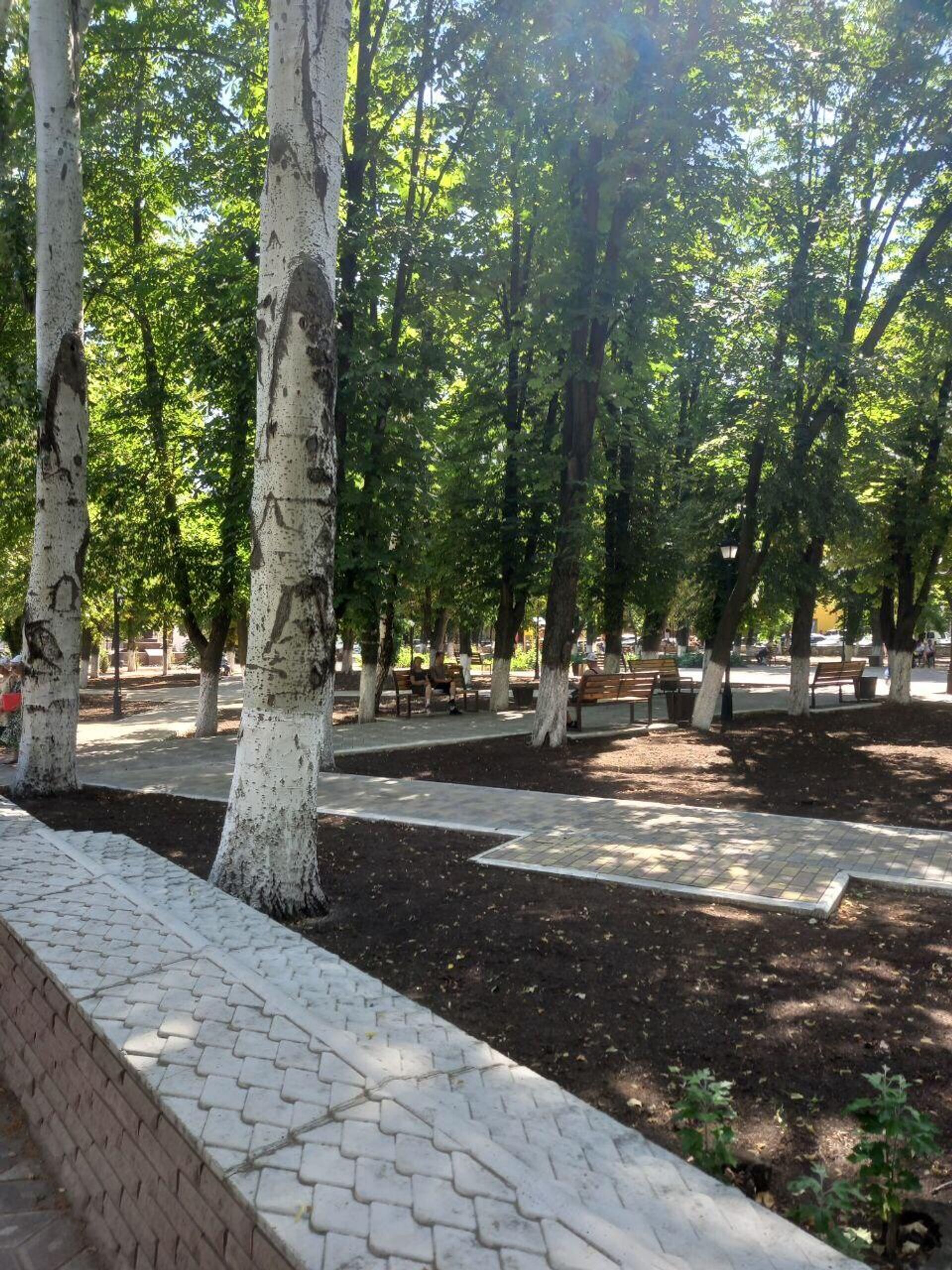 Сквер перед городской администрацией Сквер перед городской администрацией - РИА Новости, 1920, 12.07.2025