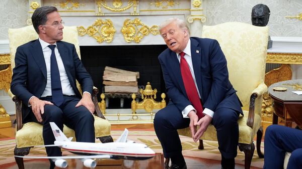Президент США Трамп заявил о поставках американского оружия Украине через НАТО Президент США Трамп заявил о поставках американского оружия Украине через НАТО