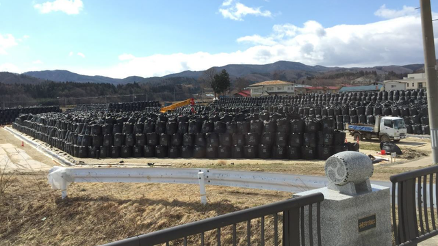 © commons.wikimedia.org / Olivier Evrard, J. Patrick Laceby, and Atsushi Nakao Подарок из Фукусимы. Японцам навязывают радиоактивную землю