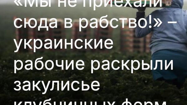 Им обещали безвиз, каву в венской опере и кружевные труселя с начёсом