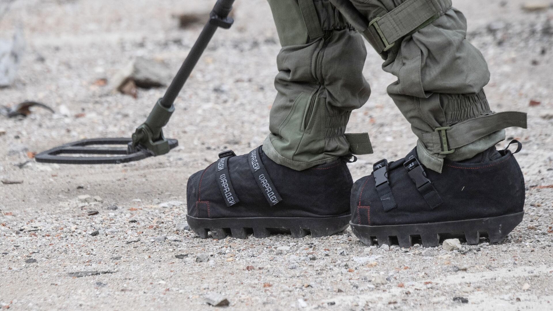   - РИА Новости, 1920, 14.11.2025