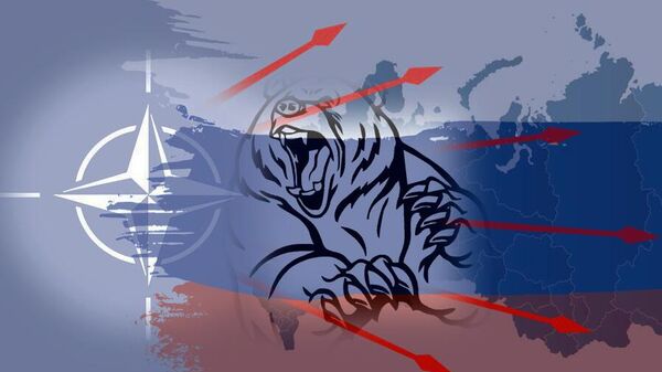 Про шкуру неубитого медведя. Что хочет Запад сделать с Россией и как этому противостоять 