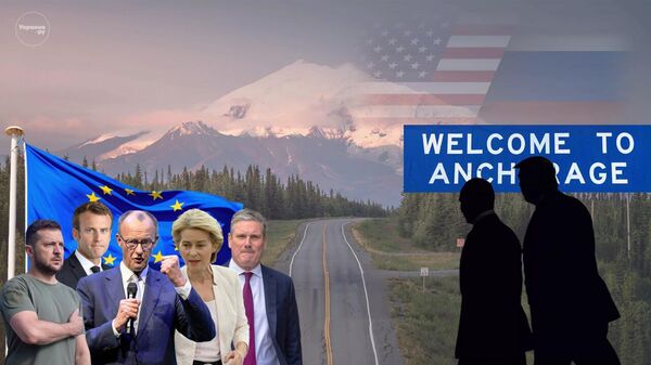 Европа отказалась от идеи пропихнуть Зеленского на переговоры на Аляске