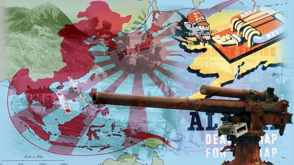Оккупация Аляски. Как американцы агитировали собак на Кыске в Крысьем архипелаге