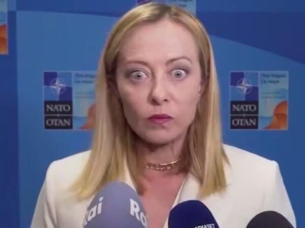 Мелони удивленная Мелони удивленная