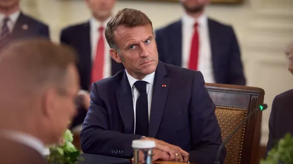 Президент Франции призвал все партии провести "чистки" в своих рядах и пошутил об овцах