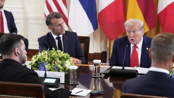 Бесплатный сыр для украинской мыши и предпосылки следующей войны. Эксперты о встрече в Белом доме