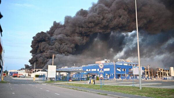 Пораженный завод Flex в Мукачево