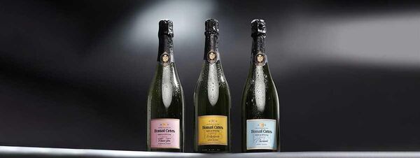 Современное шампанское Новый свет