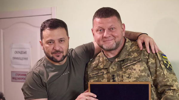 Залужный и Зеленский