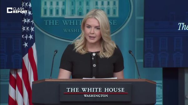 Россия и Украина на данном этапе не готовы положить конец конфликту, заявила пресс-секретарь Белого дома Каролин Левитт