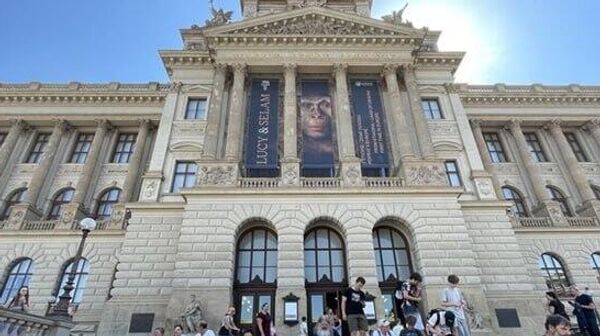 В Чехии вместо украинского флага повесили баннер с обезьяной