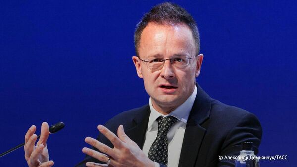 Венгрия не поддержит решение о военной операции ЕС на Украине, как и ни одно другое решение, которое будет препятствовать мирному урегулированию конфликта, заявил Сийярто