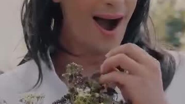 В украинских соцсетях распространяется откровенно нацистский ролик, в котором ВСУшник на «сватовство» привел с собой «русского раба»