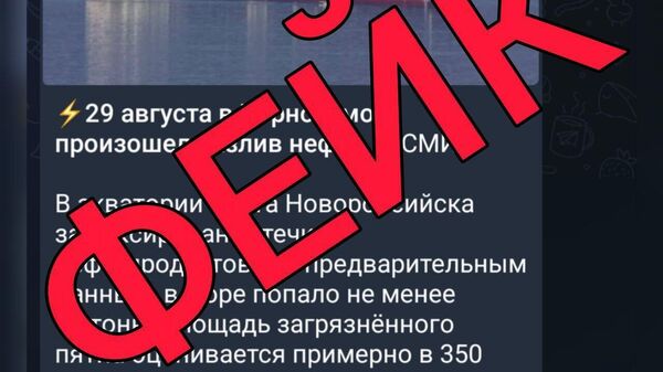 Выявлен новый фейк