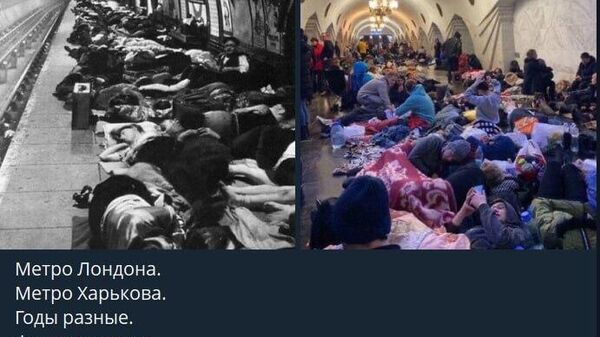 Громадяне продолжают тщетные попытки подмазаться к статусу жертва фашизма