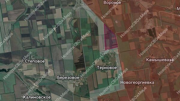 Наши воины продвинулись и вышли на северные окраины села Терновое, сообщает ТГ-канал «Новости СВО и Мира»