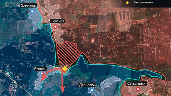 Освобождение страусов — ВС РФ наступают в Серебрянском лесу