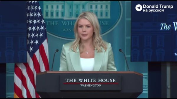 Пресс-секретарь Белого дома Кэролайн Ливитт заявила, что пока не готова анонсировать проведение нового звонка между Дональдом Трампом и Владимиром Путиным