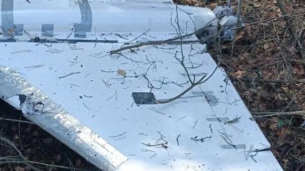 Польские СМИ публикуют новые фото дрона, упавшего в Польше