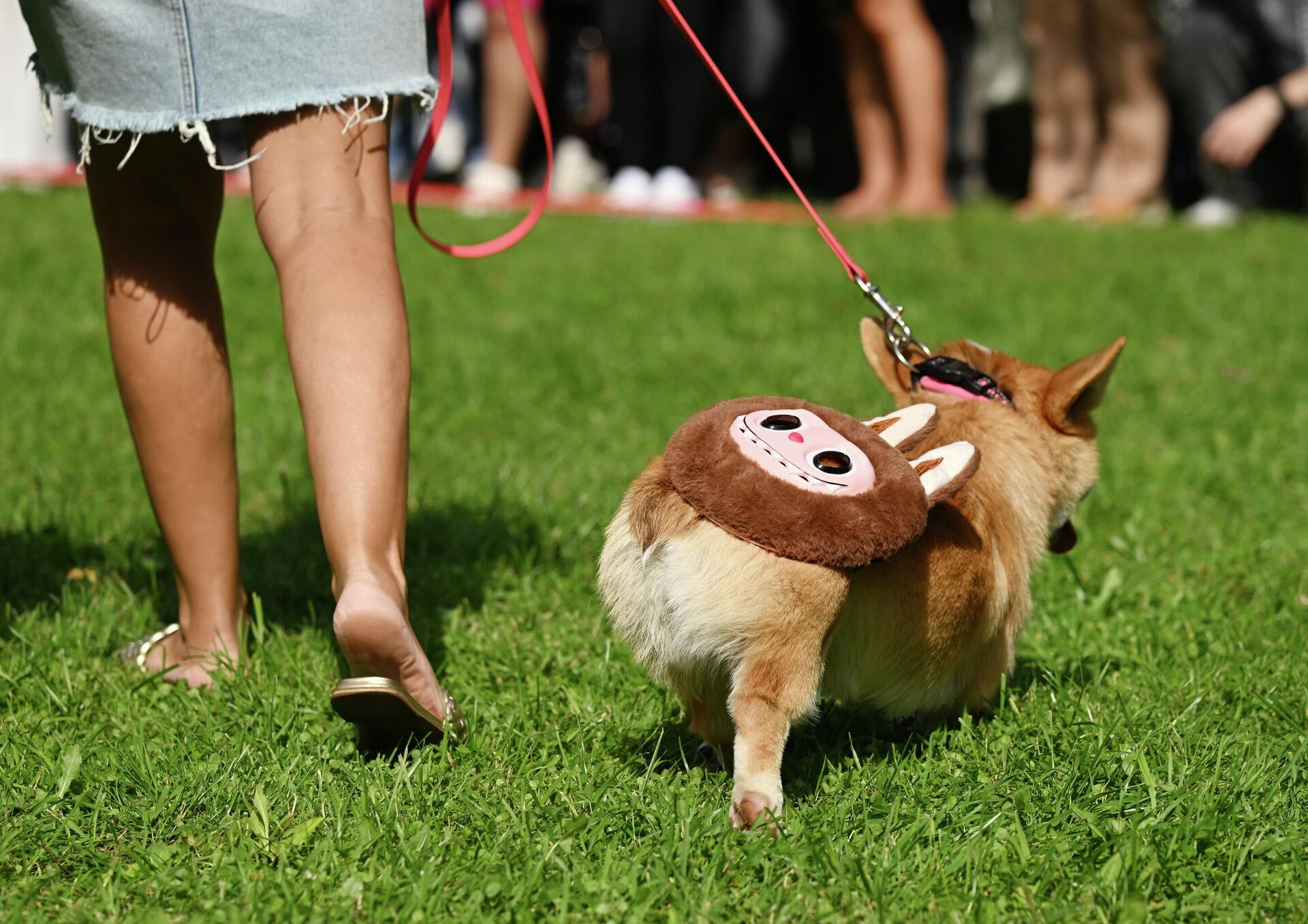   - РИА Новости, 1920, 11.09.2025