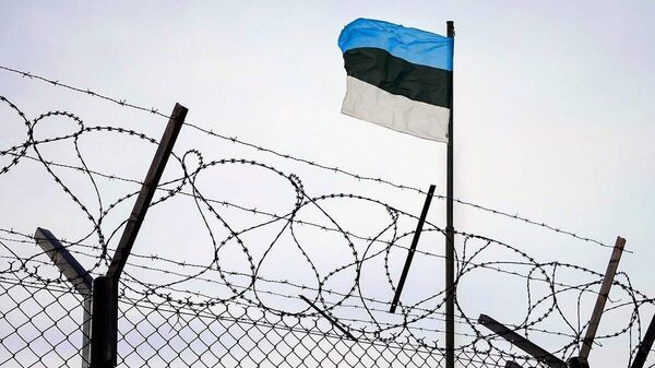 Литва и Эстония частично закрыли небо на время военных учений России и Белоруссии «Запад-2025»,