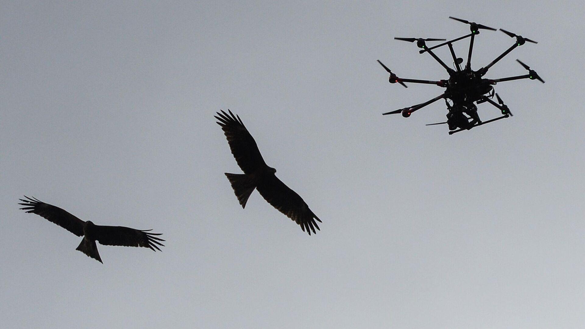 Мультикоптер (беспилотник) в небе - РИА Новости, 1920, 15.09.2025