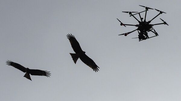 Мультикоптер (беспилотник) в небе