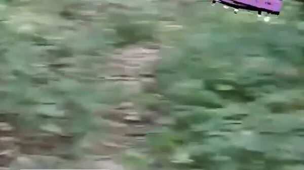 В Литве нашли дрон с надписями на украинском языке