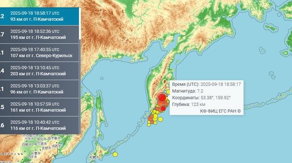Землетрясение магнитудой 7,2 зафиксировано у берегов Камчатки, сообщает геофизическая служба РАН