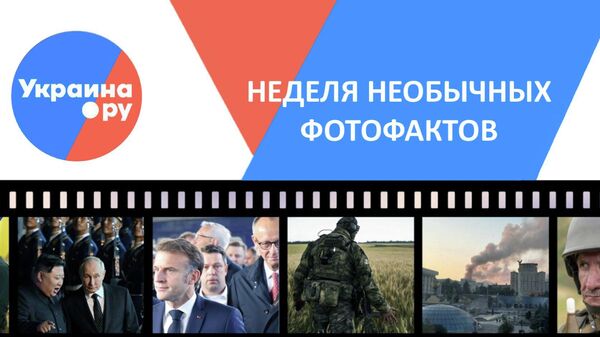 Бобер-террорист, золотой Трамп и очки "Стрекоза" на Путине. Неделя в этих и других необычных фотофактах