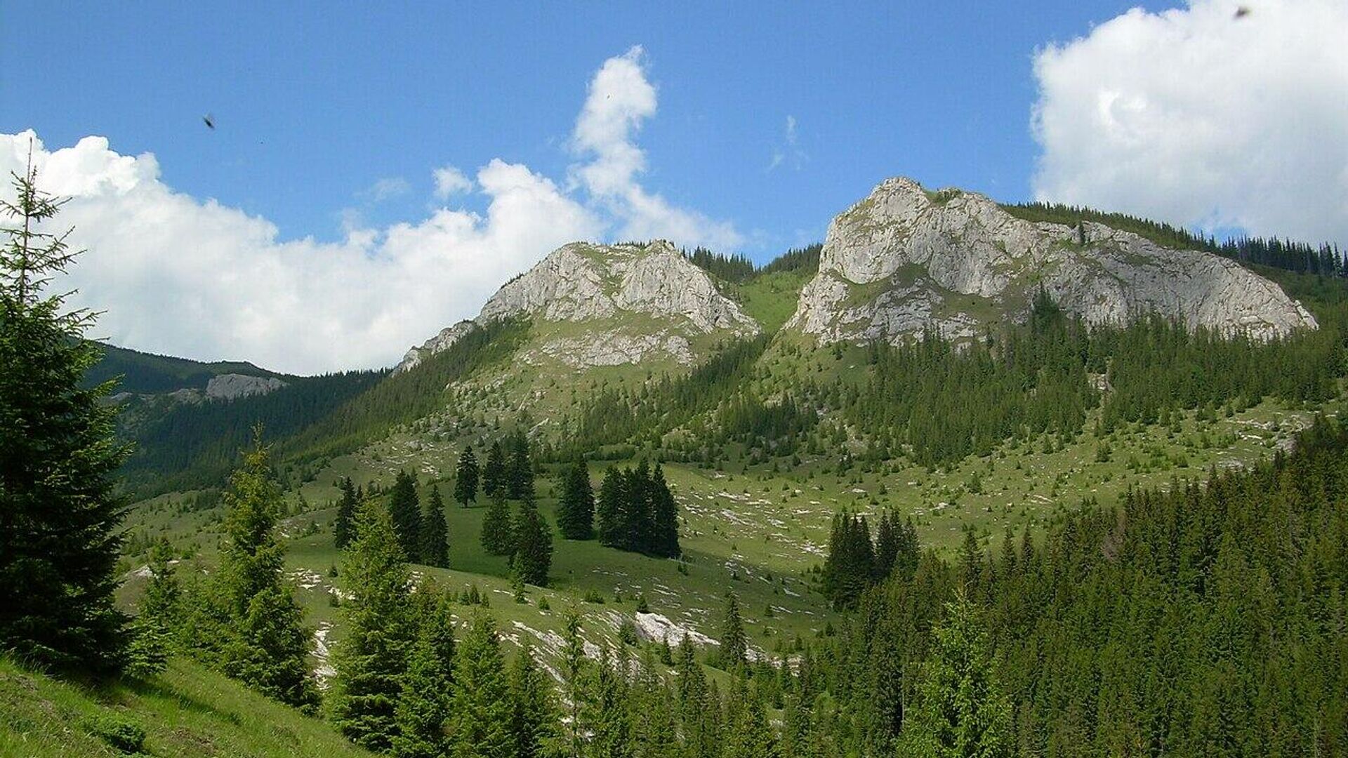 - РИА Новости, 1920, 22.09.2025