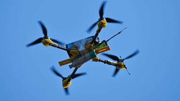 Пёс ценой жизни спас четверых разведчиков от украинского FPV-дрона