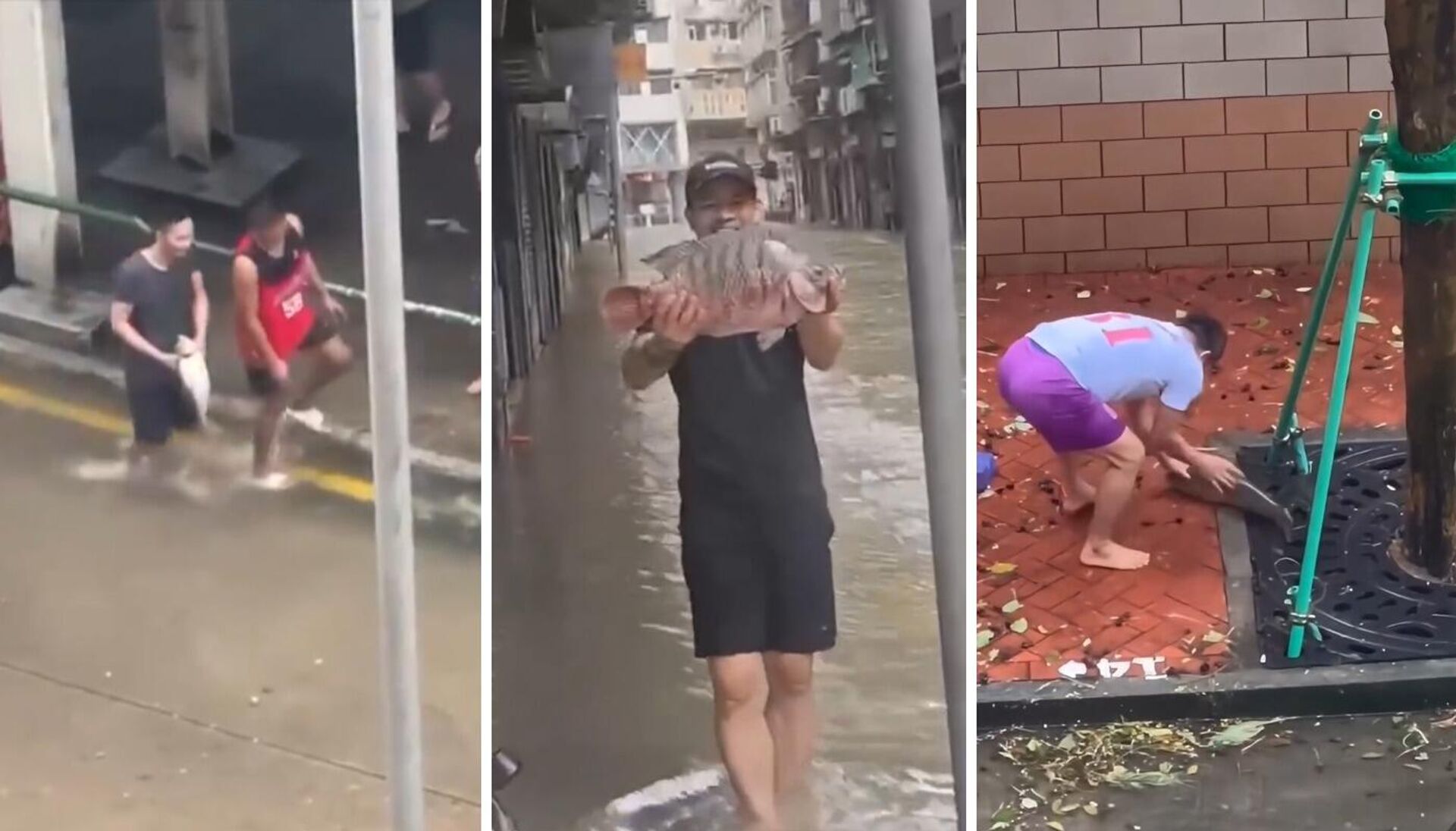   - РИА Новости, 1920, 26.09.2025