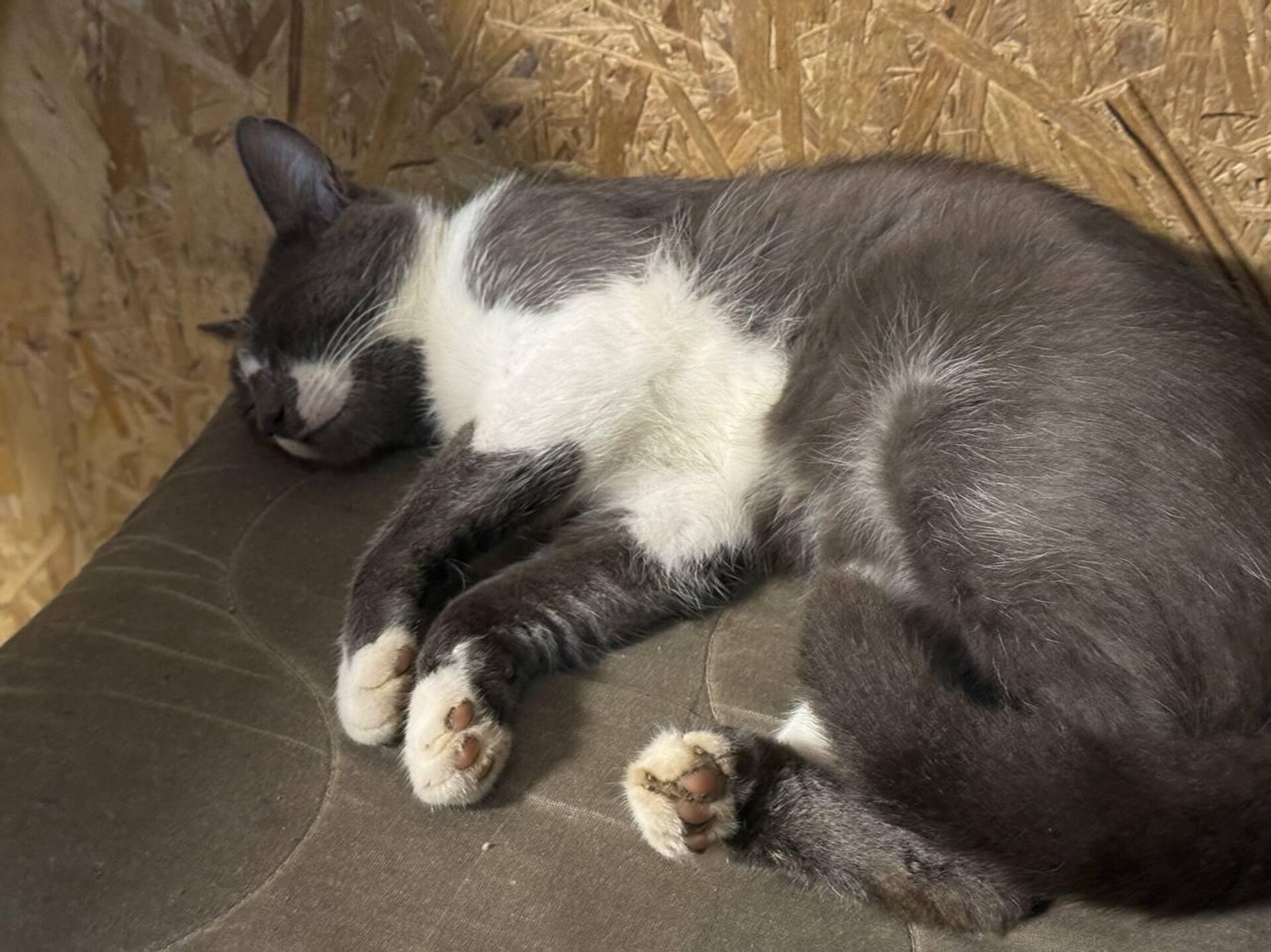 Спящий боец - РИА Новости, 1920, 27.09.2025