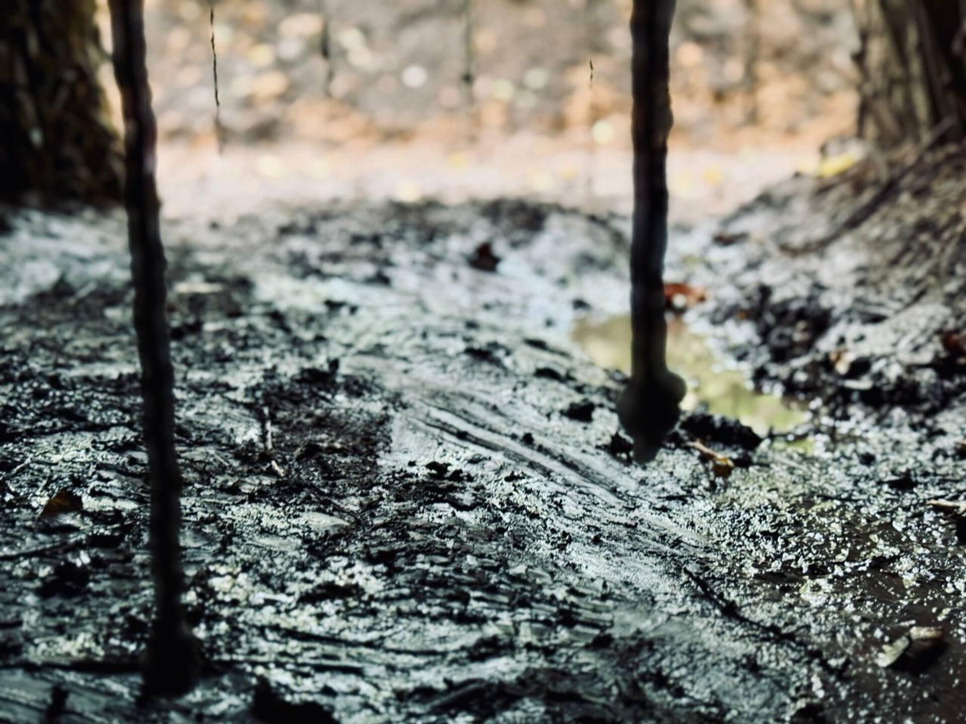 Дороги Харьковщины - РИА Новости, 1920, 27.09.2025