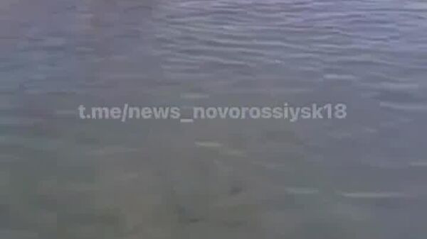 У берегов Краснодарского края обнаружен дрейфующий украинский безэкипажный катер