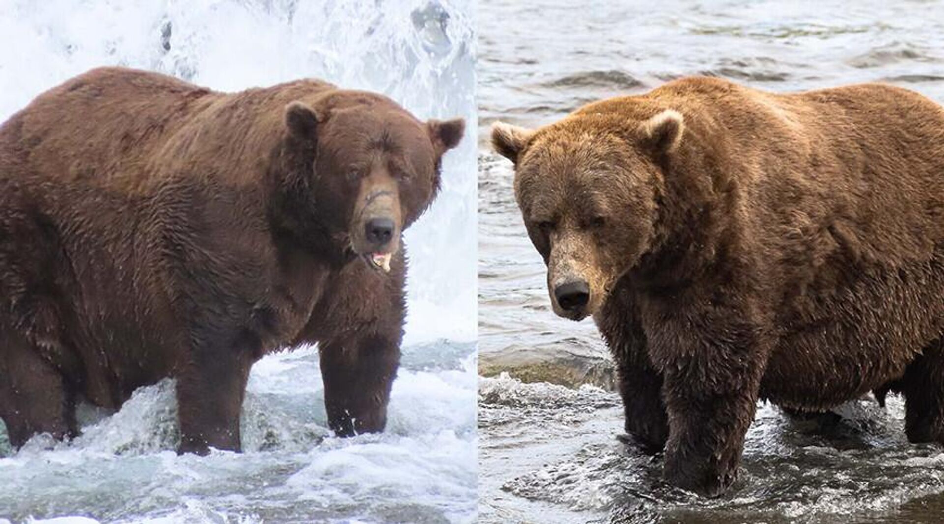   - РИА Новости, 1920, 03.10.2025