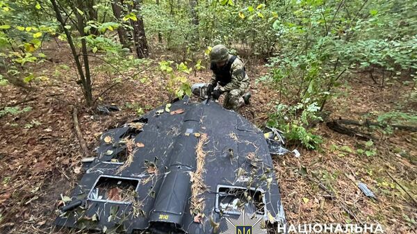 Паззл сошёлся — украинские власти старательно коллекционируют Герани
