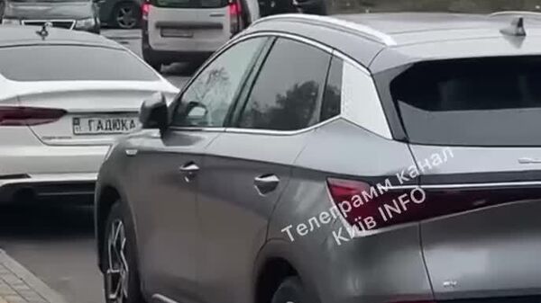 #украина_под_микроскопом: В Киеве ТЦКшники бусифицировали собаку