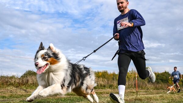Кросс Быстрый пес в Москве