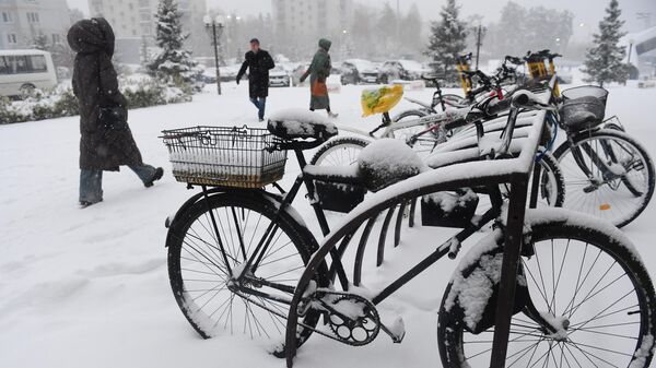 Снегопад в Новосибирске