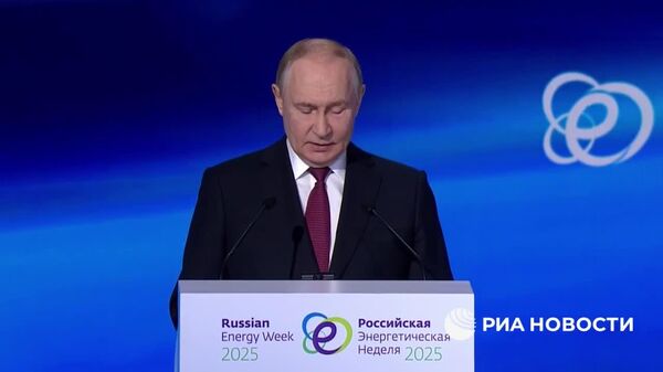 Путин поручил кабмину проработать использование объектов угольной генерации для обеспечения потребностей дата-центров