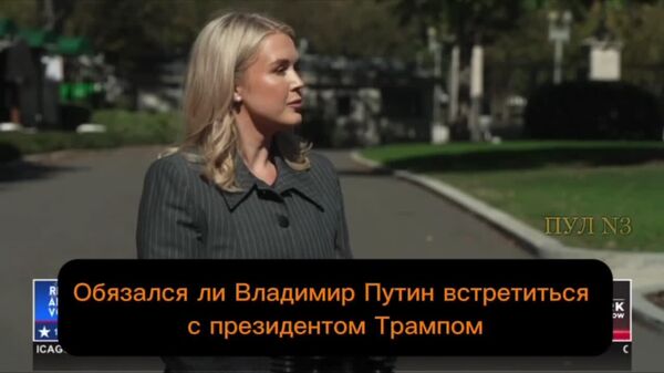 Трамп считает возможной встречу Путина с Зеленским, однако пока идет подготовка новых контактов высокого и высшего уровня между Москвой и Вашингтоном