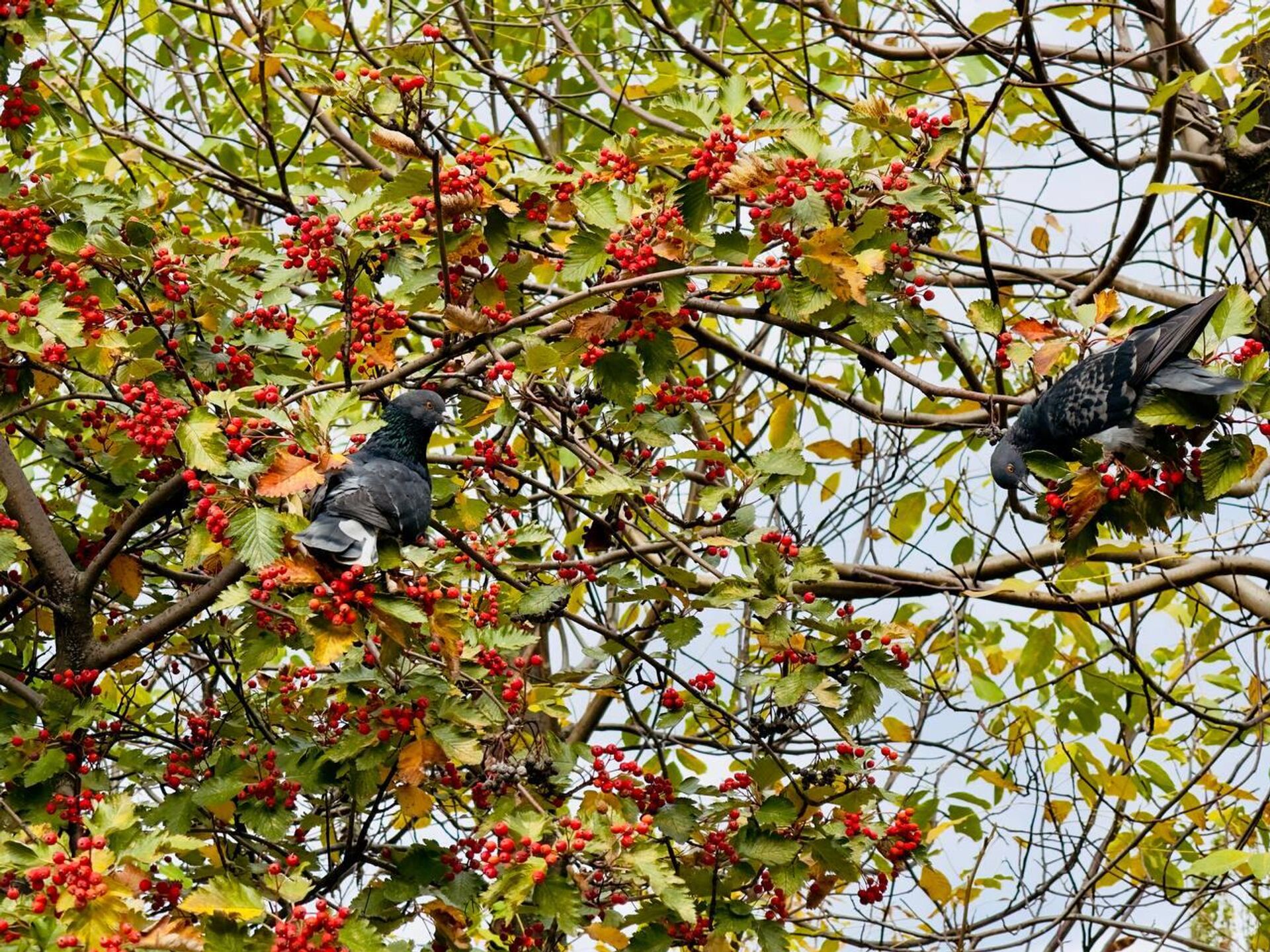   - РИА Новости, 1920, 21.10.2025