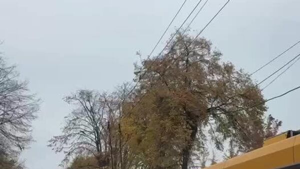 В центре Черкасс остановились троллейбусы, вероятно, из-за экстренных исключений света, сообщают местные паблики