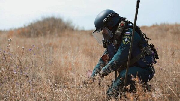 Луганские сапёры ведут разминирование территории, где будет построен новый аэропорт