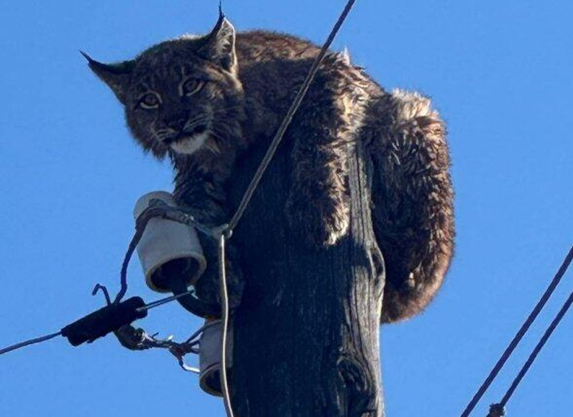   - РИА Новости, 1920, 24.10.2025