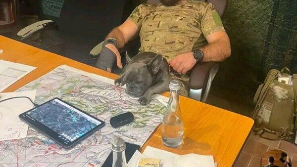 Ставленник Сырского на посту командующего штурмовыми войсками Украины полковник Манько вновь попал в скандал: в сети заметили, что он опубликовал в TikTok фото карт с грифом секретно